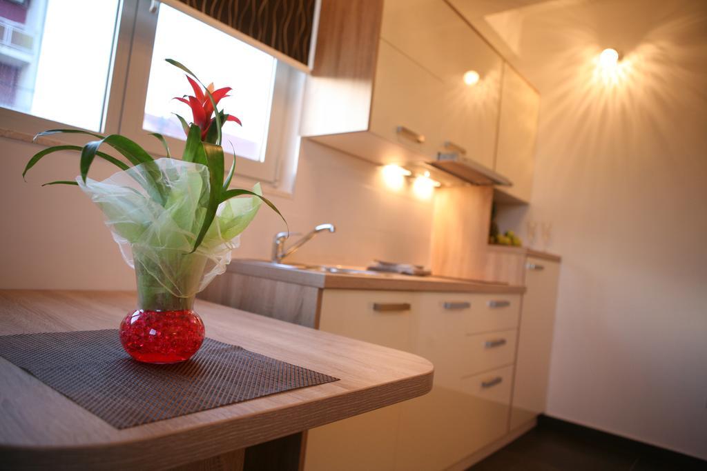 טרוגיר Apartments Sanja מראה חיצוני תמונה