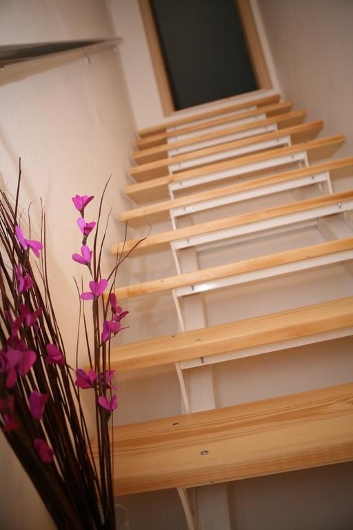 טרוגיר Apartments Sanja מראה חיצוני תמונה